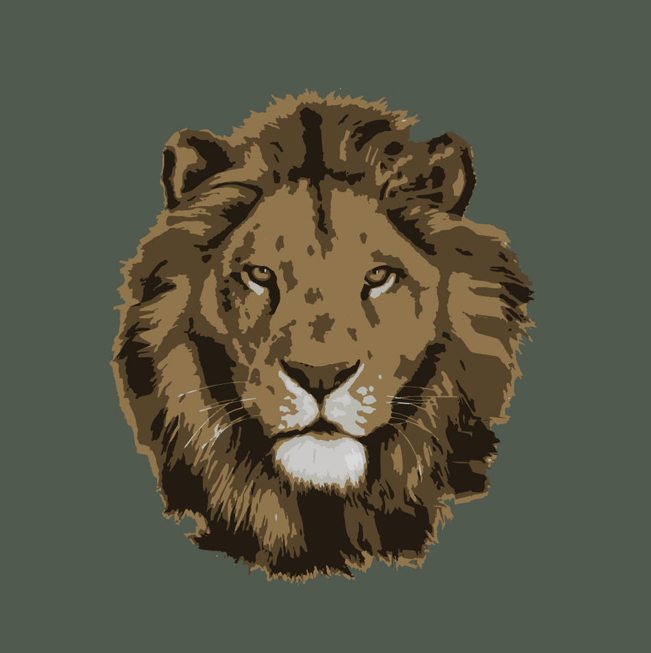 Super Set- Big Five (Khaki)